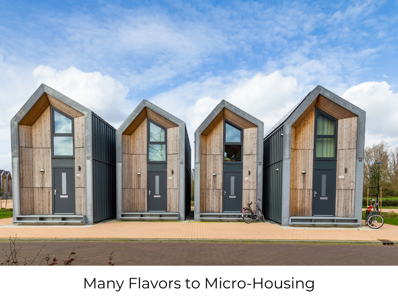 Many Flavors to Micro-Housing